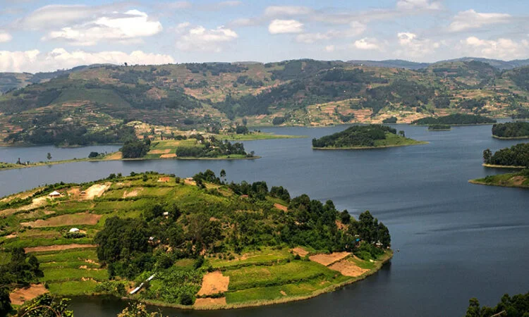 Western Uganda Wildlife Safari